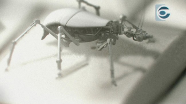 Bots Conspiracy Insekt